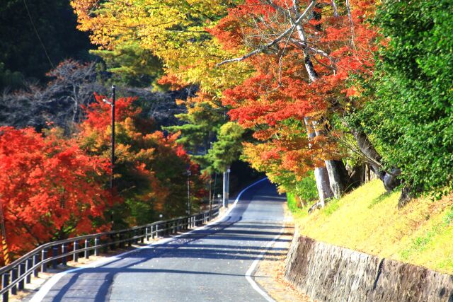 秋の平泉