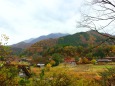 里山の紅葉