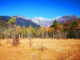 晩秋の田代湿原