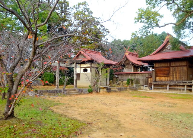 秋の里山の小さな神社