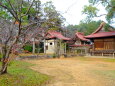 秋の里山の小さな神社