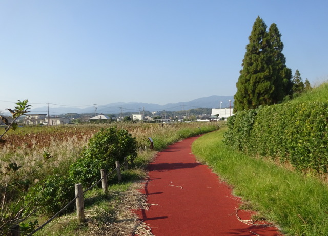 秋の蓮池公園遊歩道