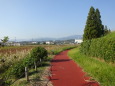 秋の蓮池公園遊歩道