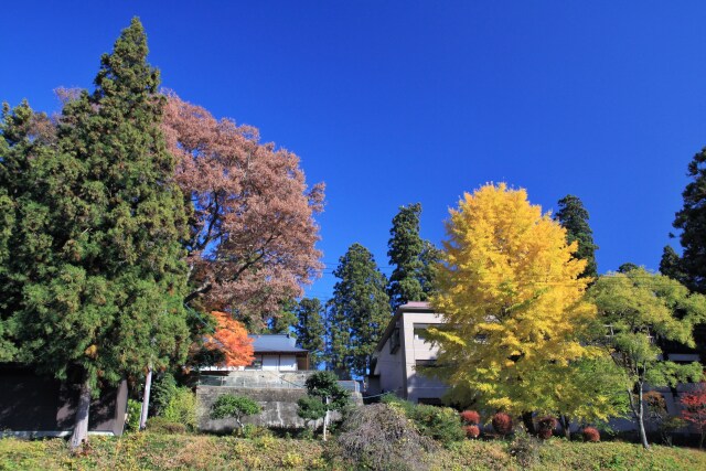 秋の平泉