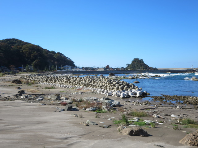 地震で海岸が隆起しました 2024