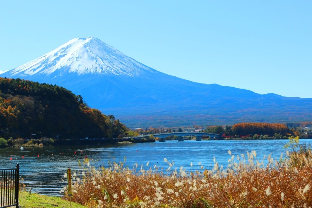 秋の河口湖と富士山