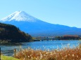 秋の河口湖と富士山