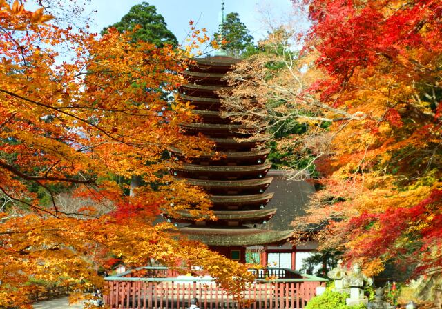 談山神社紅葉