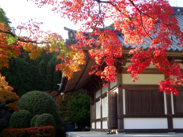 山寺の紅葉