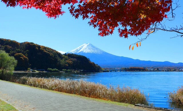 秋の河口湖と富士山