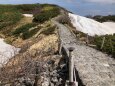 みくりが池遊歩道にて