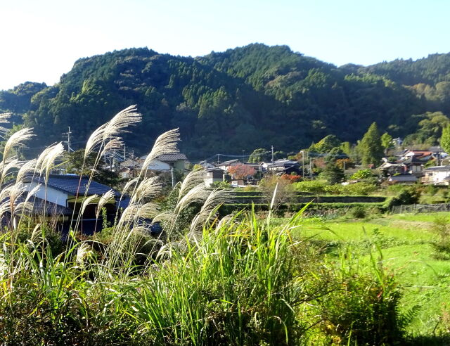 11月中旬西日の山村集落