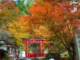 談山神社紅葉