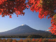 大石公園の紅葉