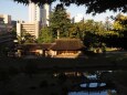 秋の玉泉院丸庭園