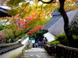 山寺の紅葉