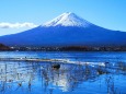 秋の河口湖