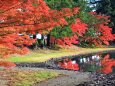 秋の毛越寺