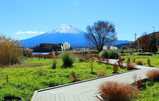 秋の富士山