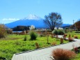 秋の富士山