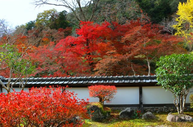 正暦寺紅葉