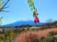 秋の富士山