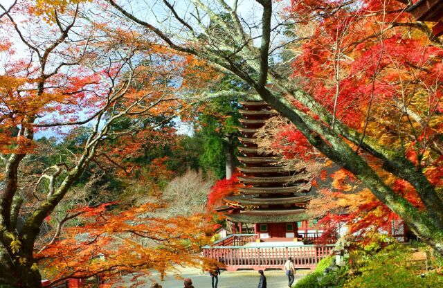 談山神社紅葉