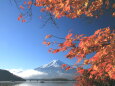 河口湖の紅葉