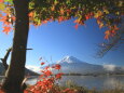 もみじ&富士山