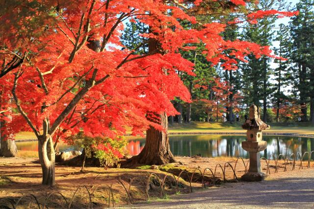 秋の毛越寺