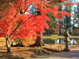 秋の毛越寺