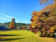 定光寺公園紅葉