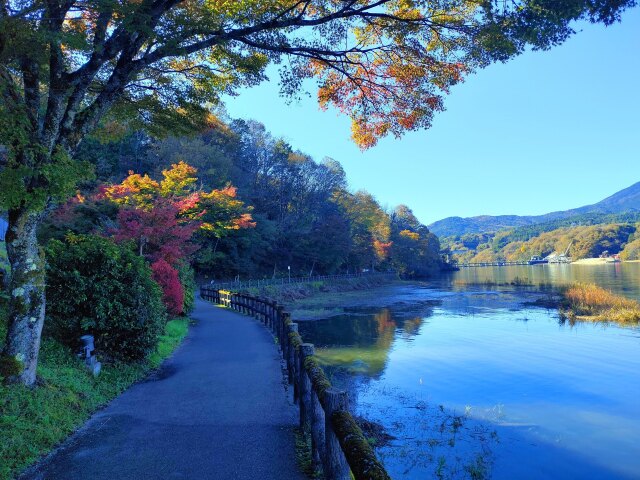 秋の恵那峡遊歩道