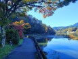 秋の恵那峡遊歩道