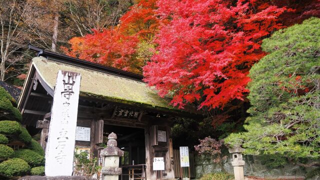 秋の山寺