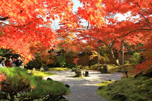 松島 円通院