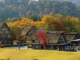 白川郷紅葉