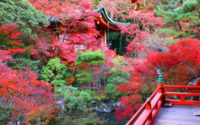 毘沙門堂紅葉