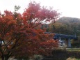 秋の山寺