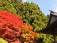 秋の山寺