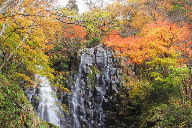 滝と紅葉