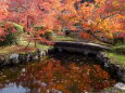 紅葉をめぐる公園の散策路