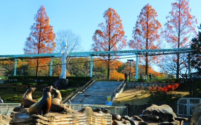 東山動植物園紅葉