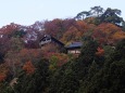 秋の山寺