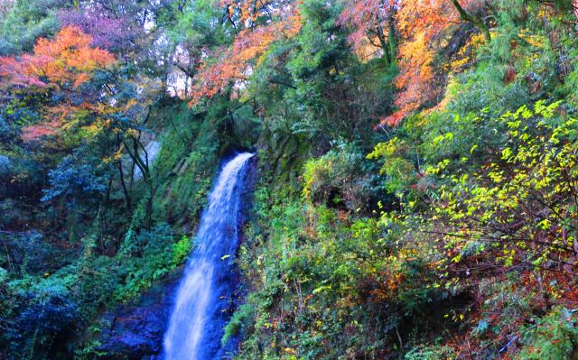 養老の滝紅葉