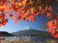 もみじの額に富士山