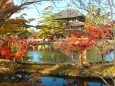 奈良公園紅葉