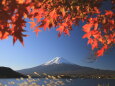 富士山&紅葉