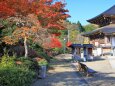 定義如来 西方寺