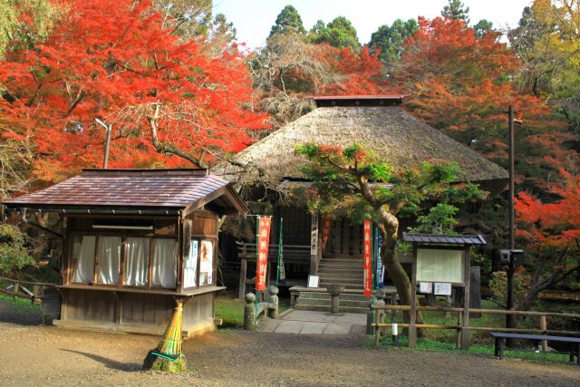 秋の中尊寺